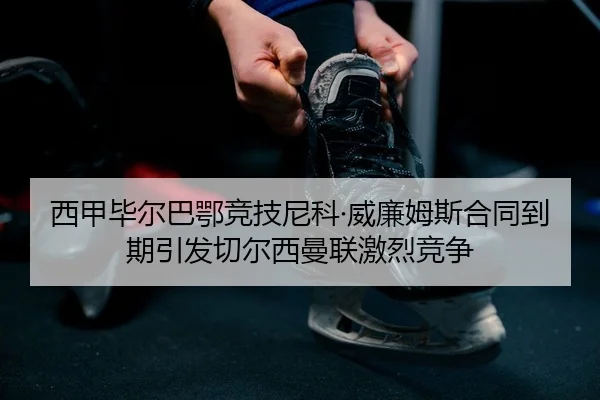 xi-jia-bi-er-ba-e-jing-ji-ni-ke-wei-lian-mu-si-he-tong-dao-qi-yin-fa-qie-er-xi-man-lian-ji-lie-jing-zheng-2-794.jpg