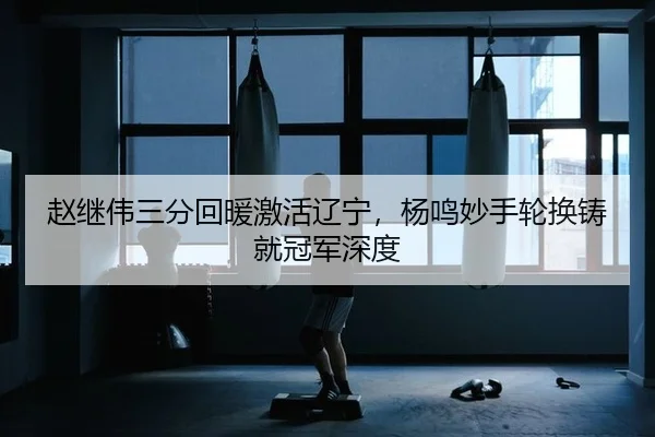 赵继伟三分回暖激活辽宁，杨鸣妙手轮换铸就冠军深度